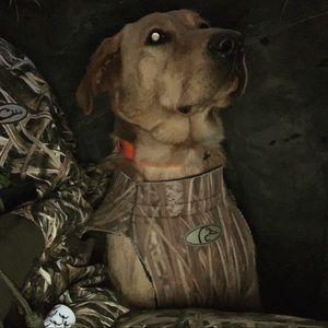 Meet your Posher, Mike